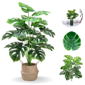 costela de adao costelade adao costela deadao planta artificial planta costela de adão flores artificiais plantas artificiais plantas para sala planta artificial para sala plantas artificiais para sala costela de adão planta planta costela de adao plantas na sala planta artificial sala